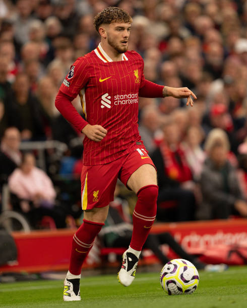 无论是为了 无论是为了